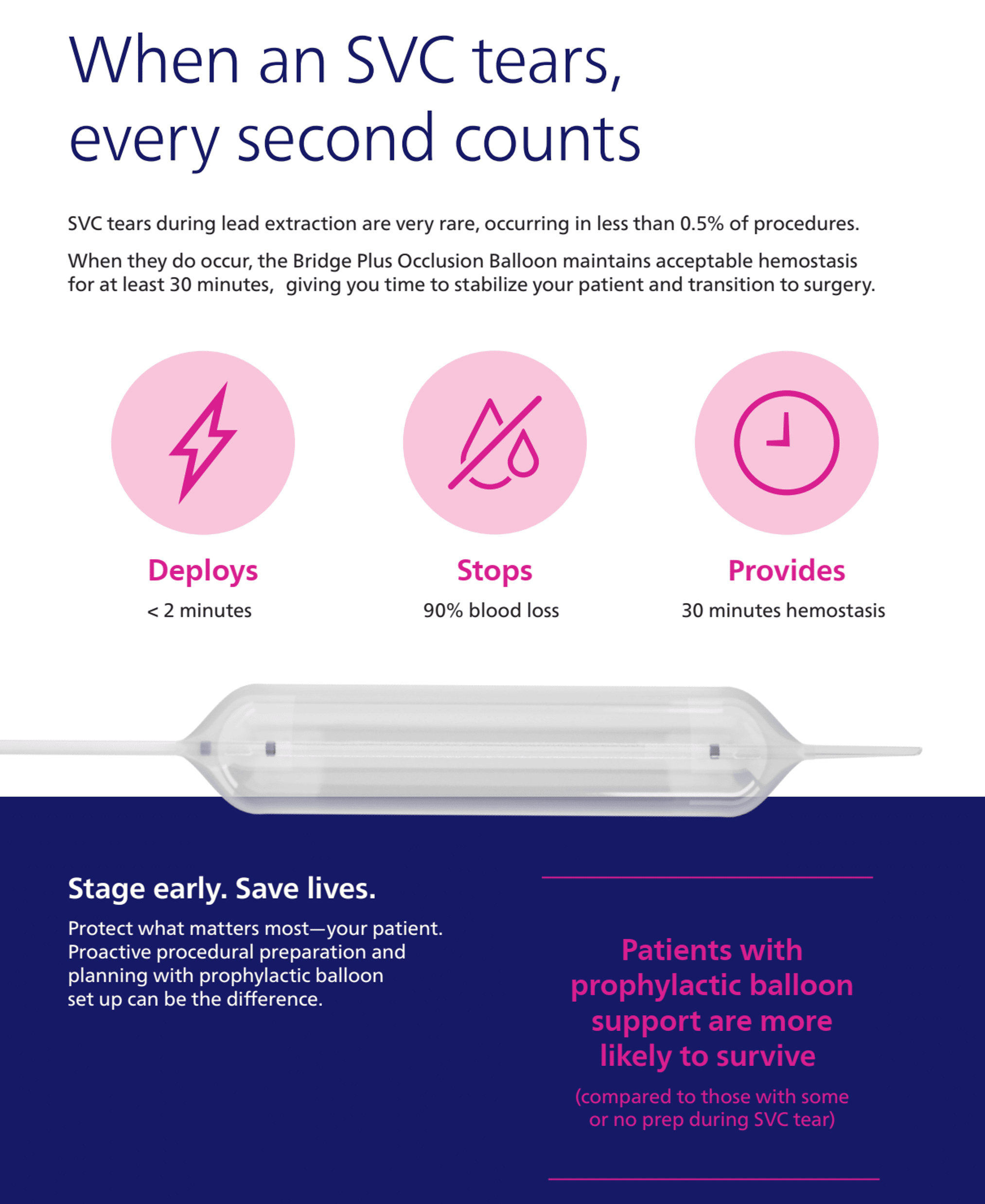 Infografia Bridge