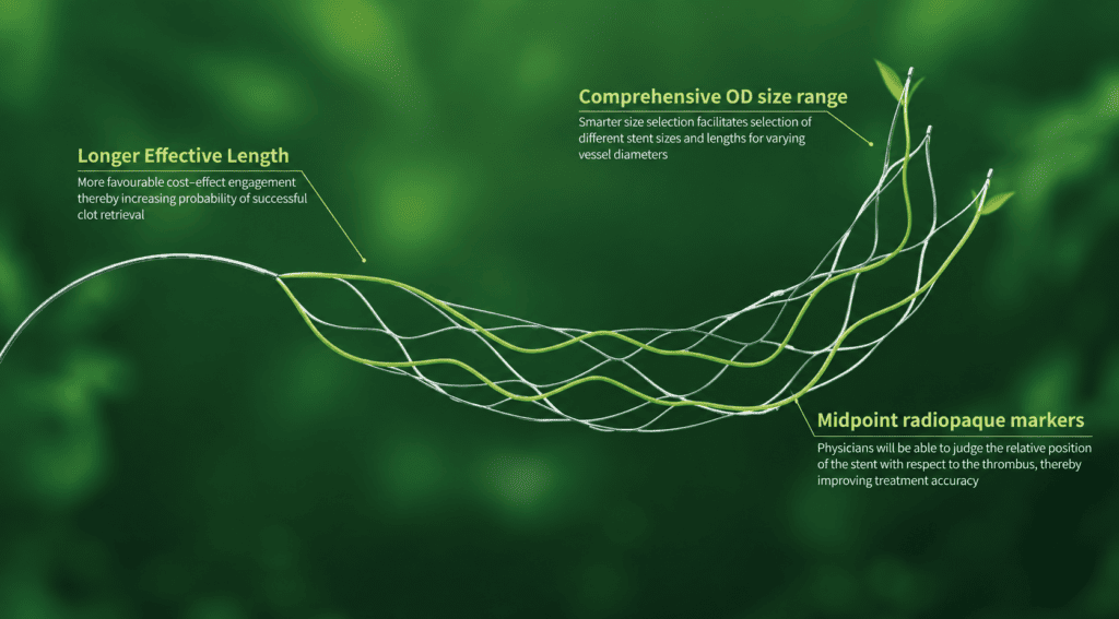 Infografia CerebrAX