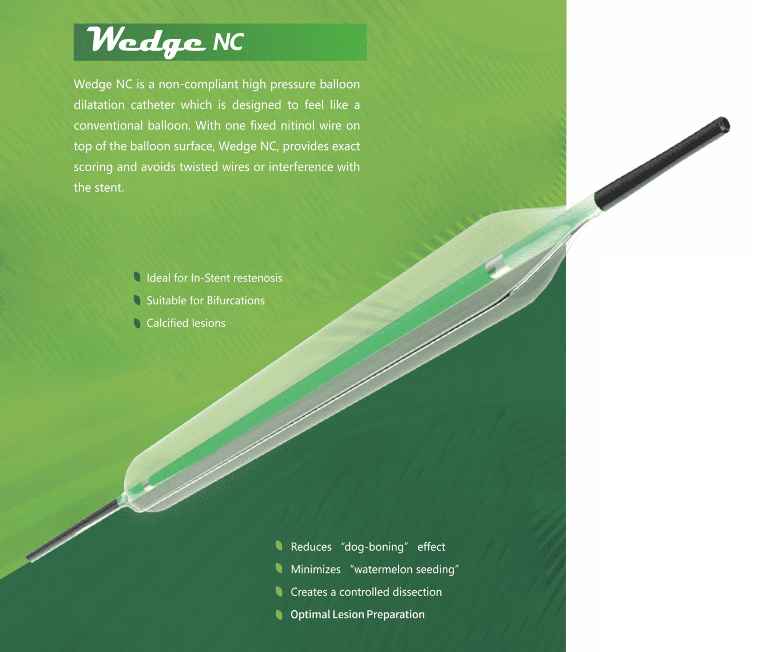Infografia Wedge NC